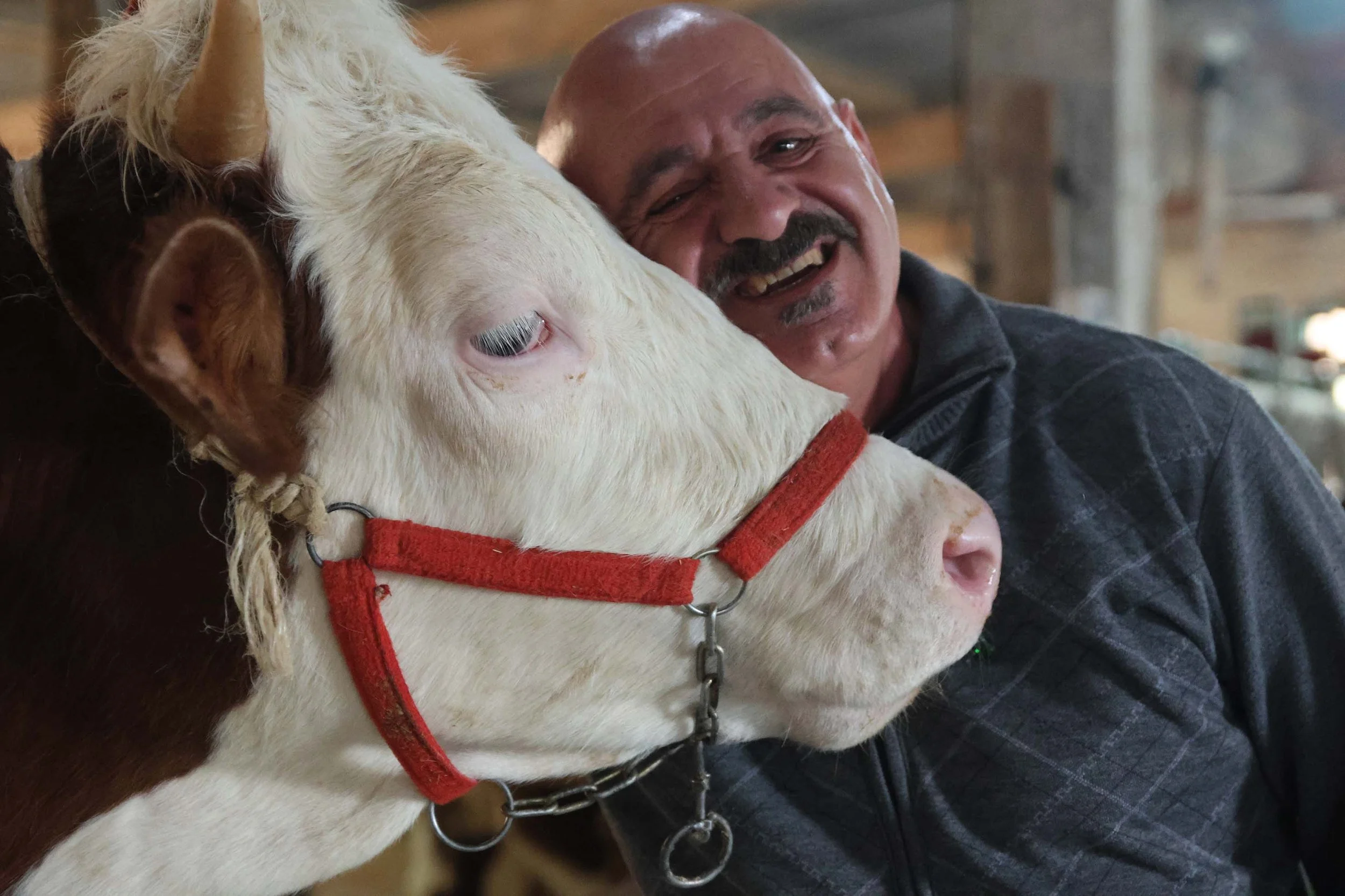 Fruits of Faith: A Thriving Community Farm in Lebanon